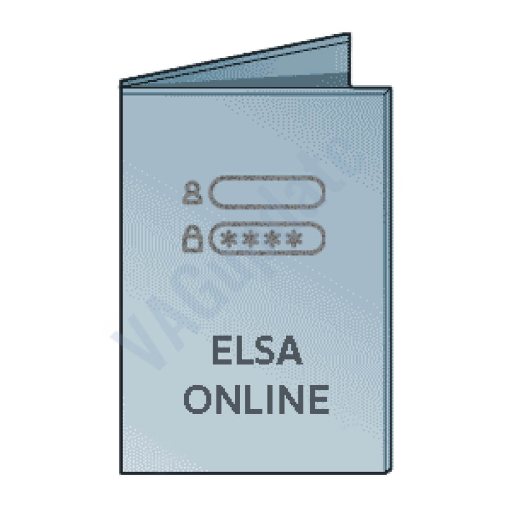 Elsa Online Workshop Manual - 1 Week