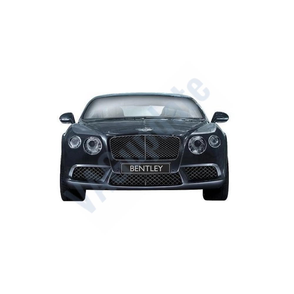 Bentley Service Information Bentley Service Information