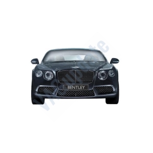 Bentley Service Information