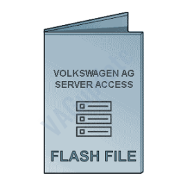 VAG Flash Data Server Access - 1 Month