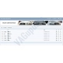 VAG Flash Data Server Access - 1 Month..