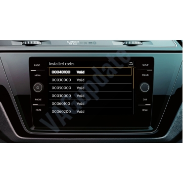 VAG Multimedia Full Activation..